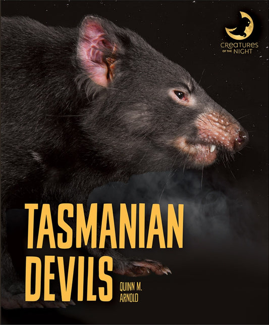 Creatures of the Night: Tasmanian Devils by The Creative Company Shop
