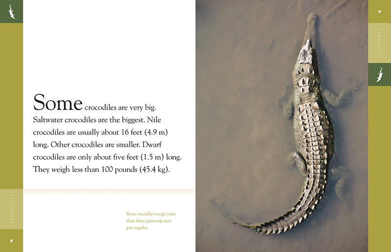 Amazing Animals - New Edition: Crocodiles by The Creative Company Shop