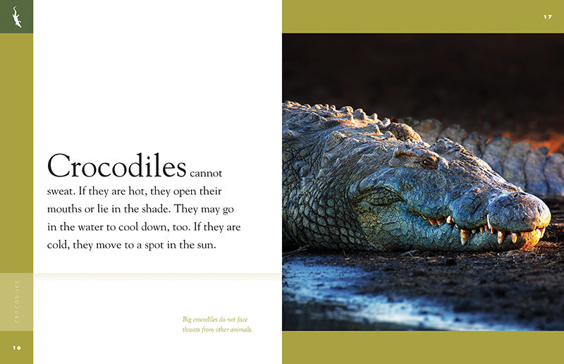 Amazing Animals - New Edition: Crocodiles by The Creative Company Shop