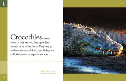 Amazing Animals - New Edition: Crocodiles by The Creative Company Shop