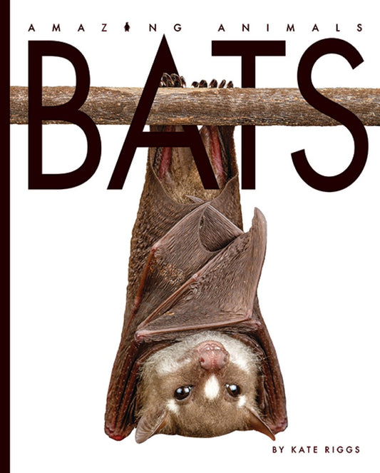 Amazing Animals - New Edition: Bats by The Creative Company Shop