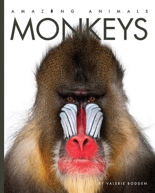 Amazing Animals - New Edition: Monkeys by The Creative Company Shop