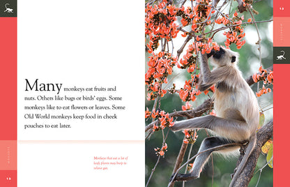 Amazing Animals - New Edition: Monkeys by The Creative Company Shop