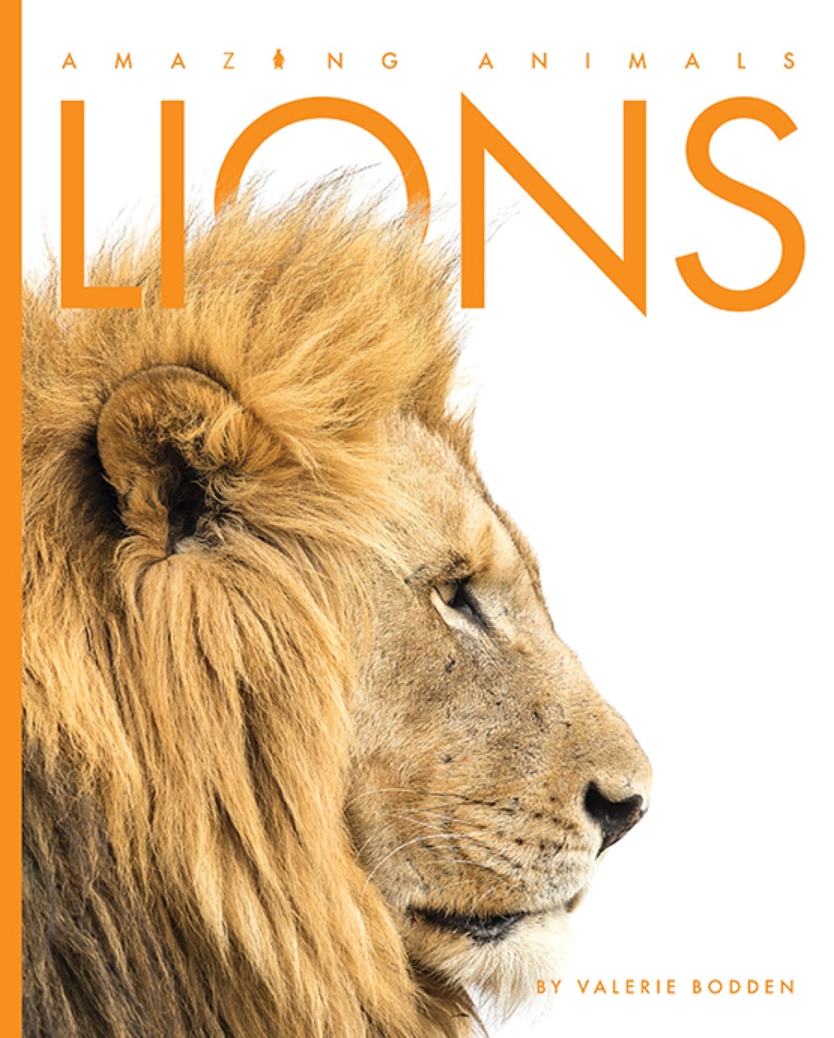 Amazing Animals - New Edition: Lions by The Creative Company Shop