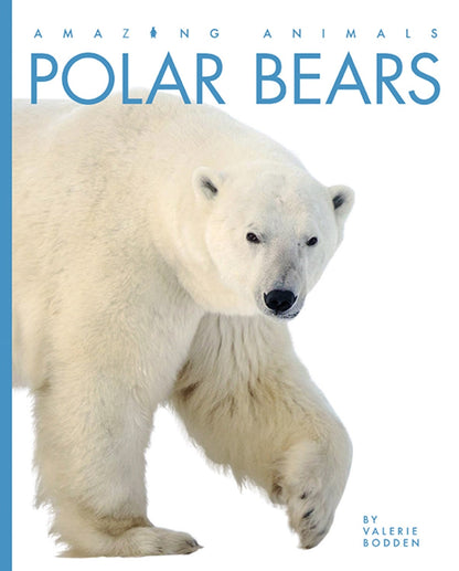 Amazing Animals - New Edition: Polar Bears by The Creative Company Shop