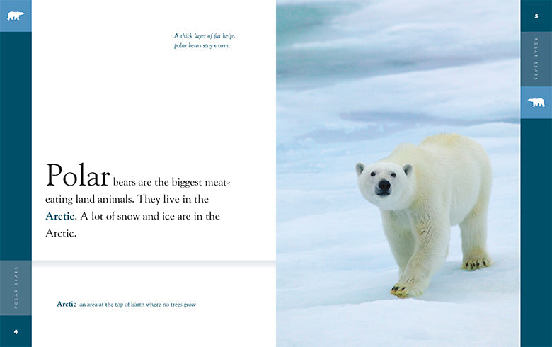 Amazing Animals - New Edition: Polar Bears by The Creative Company Shop