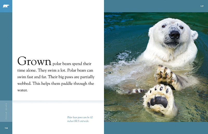 Amazing Animals - New Edition: Polar Bears by The Creative Company Shop