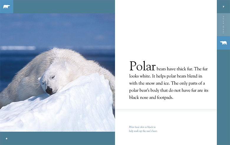 Amazing Animals - New Edition: Polar Bears by The Creative Company Shop