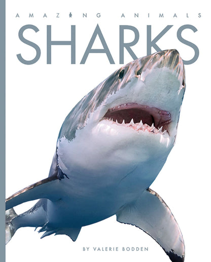 Amazing Animals - New Edition: Sharks by The Creative Company Shop