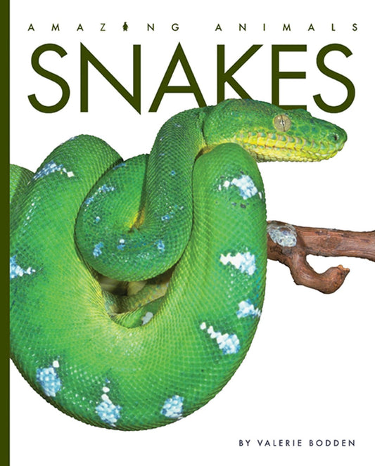 Amazing Animals - New Edition: Snakes by The Creative Company Shop