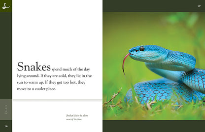 Amazing Animals - New Edition: Snakes by The Creative Company Shop