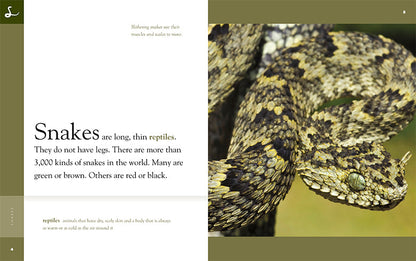 Amazing Animals - New Edition: Snakes by The Creative Company Shop