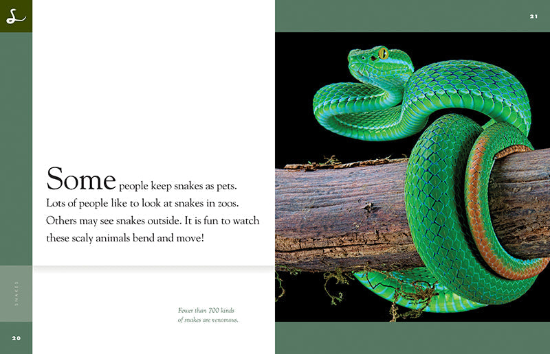 Amazing Animals - New Edition: Snakes by The Creative Company Shop