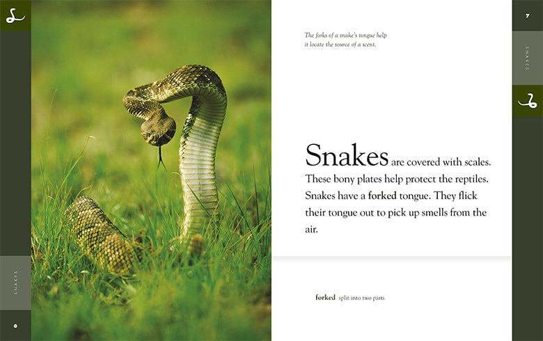 Amazing Animals - New Edition: Snakes by The Creative Company Shop