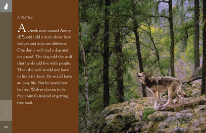 Amazing Animals - New Edition: Wolves by The Creative Company Shop