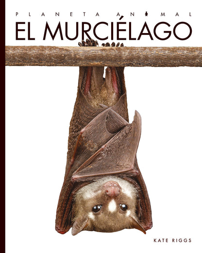 Planeta animal - New Edition: El murciélago by The Creative Company Shop