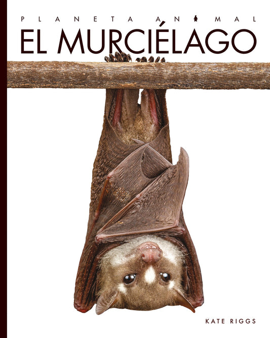 Planeta animal - New Edition: El murciélago by The Creative Company Shop