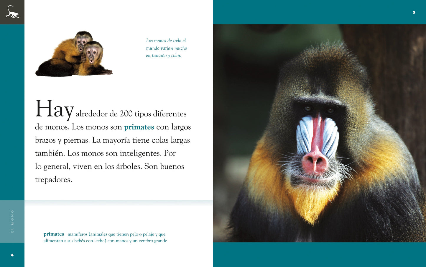 Planeta animal - New Edition: El mono by The Creative Company Shop