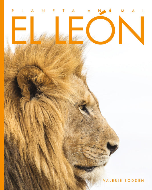 Planeta animal - New Edition: El león by The Creative Company Shop