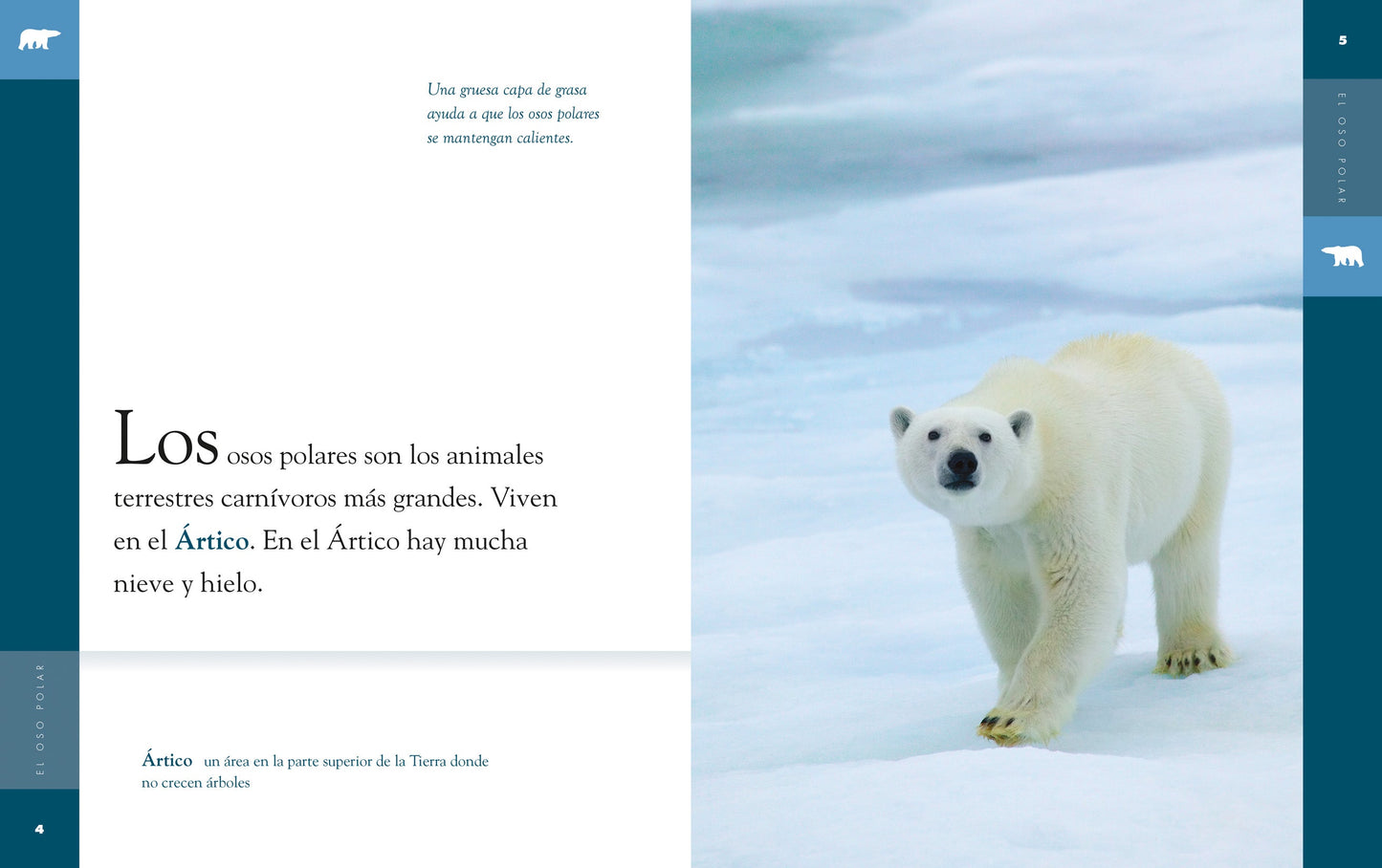 Planeta animal - New Edition: El oso polar by The Creative Company Shop