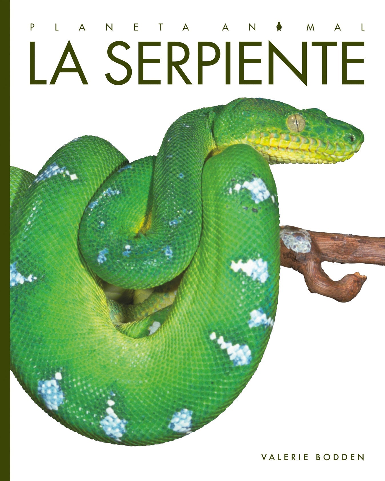 Planeta animal - New Edition: La serpiente by The Creative Company Shop