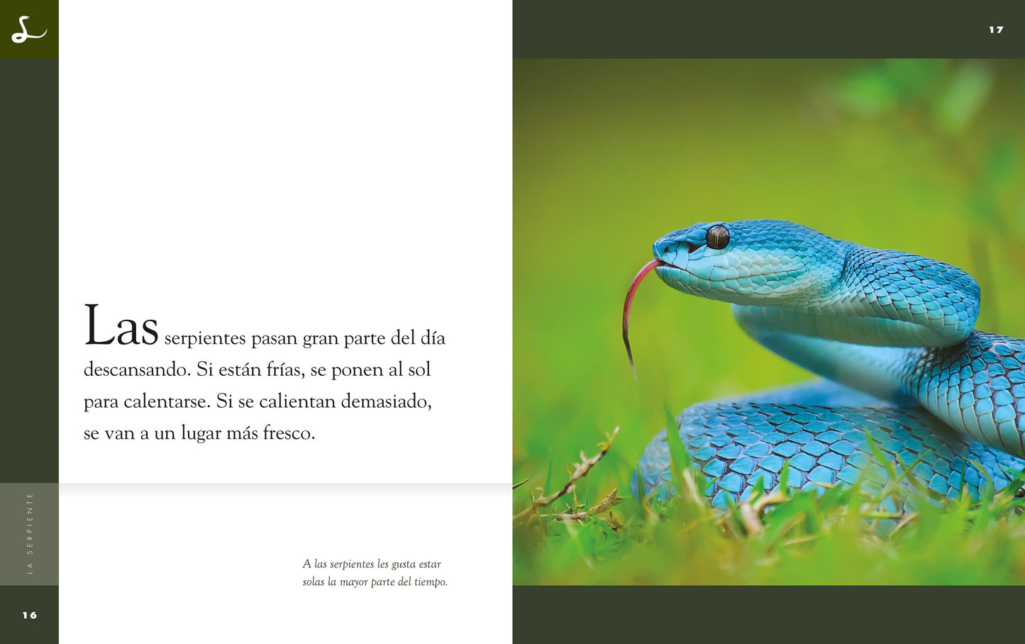 Planeta animal - New Edition: La serpiente by The Creative Company Shop