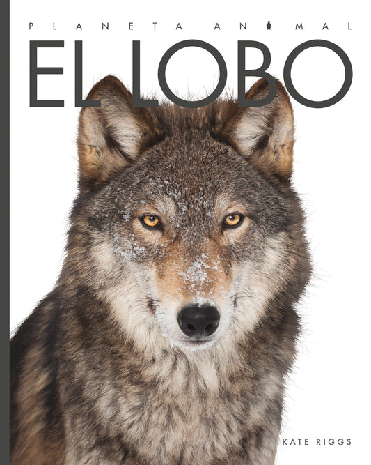 Planeta animal - New Edition: El lobo by The Creative Company Shop