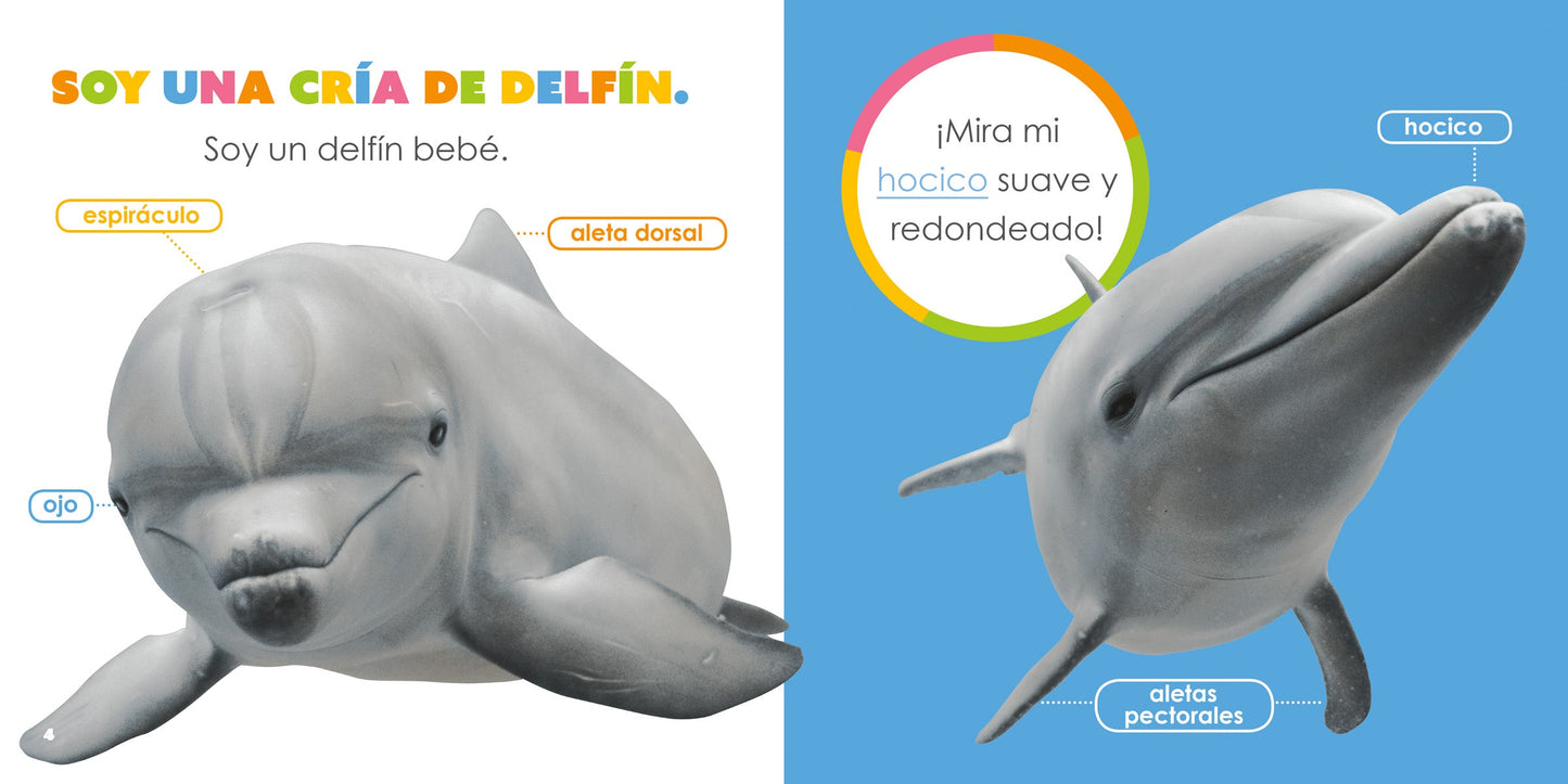 El principio de los: delfínes bebés by The Creative Company Shop