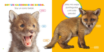 El principio de los: zorros bebés by The Creative Company Shop