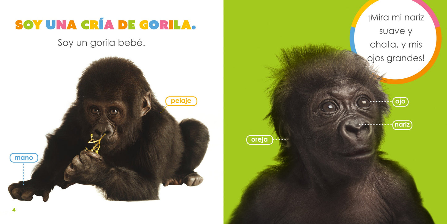 El principio de los: gorilas bebés by The Creative Company Shop