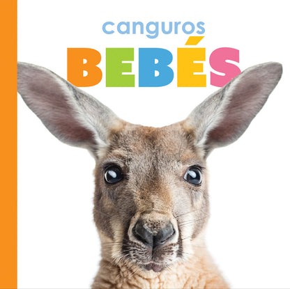 El principio de los: canguros bebés by The Creative Company Shop