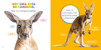 El principio de los: canguros bebés by The Creative Company Shop