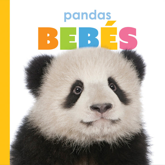 El principio de los: pandas bebés by The Creative Company Shop