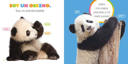 El principio de los: pandas bebés by The Creative Company Shop