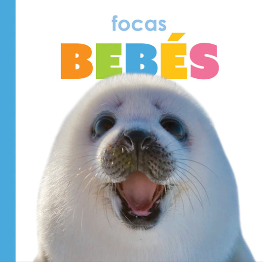 El principio de los: focas bebés by The Creative Company Shop