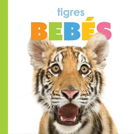 El principio de los: tigres bebés by The Creative Company Shop