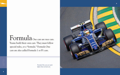 Amazing Racing Cars: Formula One Cars by The Creative Company Shop