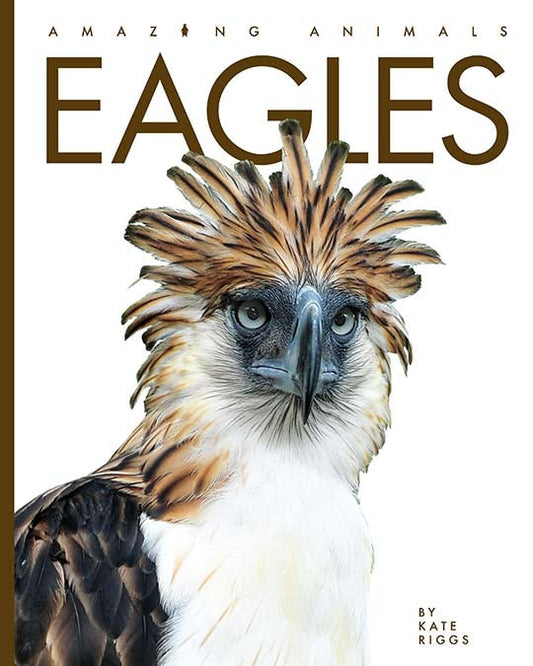 Amazing Animals - New Edition: Eagles by The Creative Company Shop