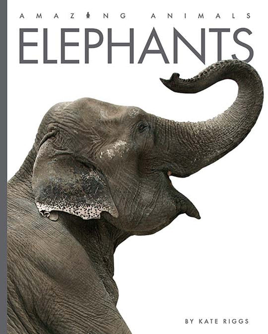 Amazing Animals - New Edition: Elephants by The Creative Company Shop