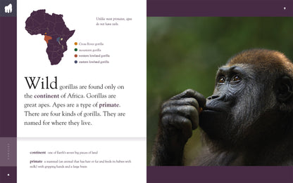 Amazing Animals - New Edition: Gorillas by The Creative Company Shop