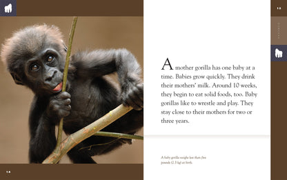 Amazing Animals - New Edition: Gorillas by The Creative Company Shop