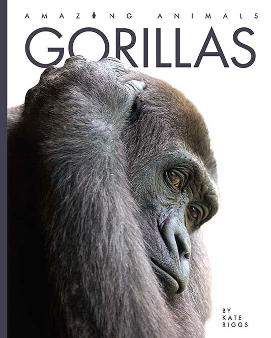 Amazing Animals - New Edition: Gorillas by The Creative Company Shop