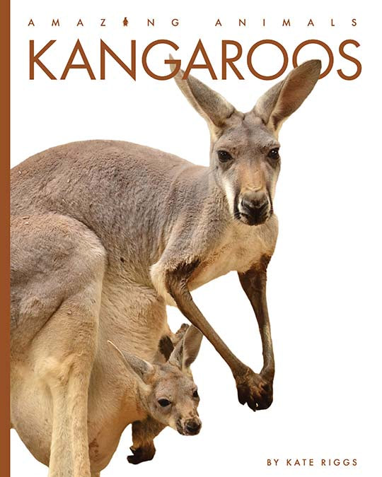 Amazing Animals - New Edition: Kangaroos by The Creative Company Shop