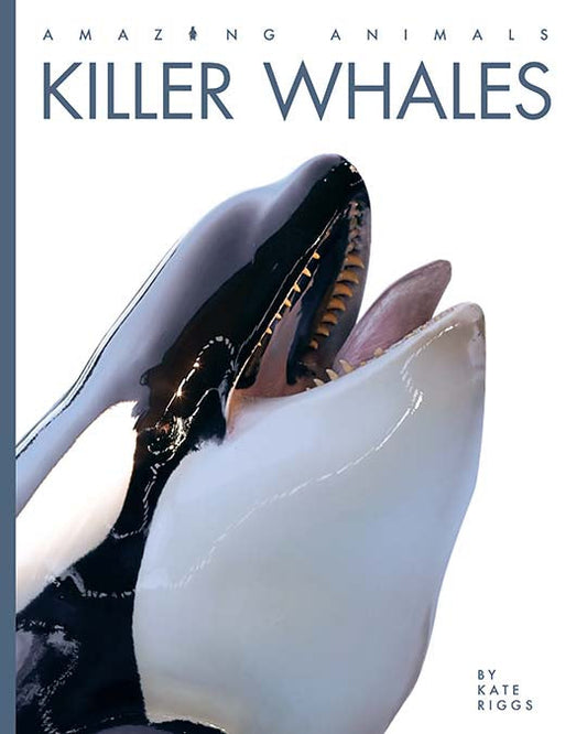 Amazing Animals - New Edition: Killer Whales by The Creative Company Shop