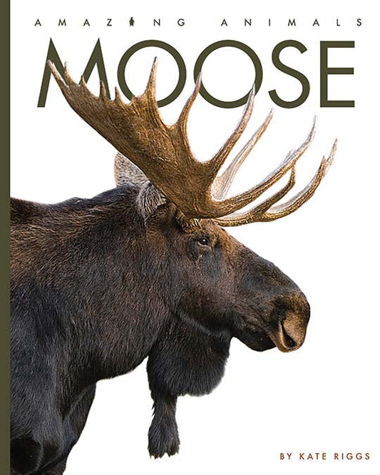 Amazing Animals - New Edition: Moose by The Creative Company Shop