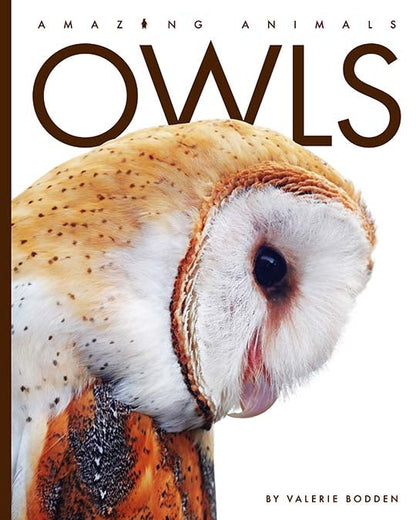 Amazing Animals - New Edition: Owls by The Creative Company Shop