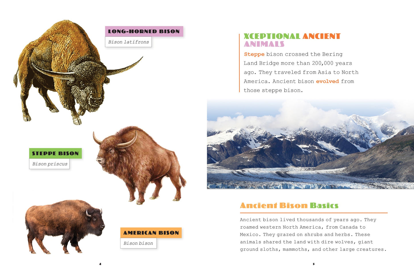 X-Books: Ice Age Creatures: Ancient Bison by The Creative Company Shop