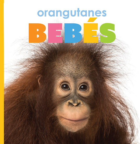El principio de los: orangutanes bebés by The Creative Company Shop
