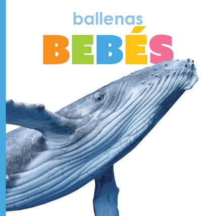 El principio de los: ballenas bebés by The Creative Company Shop