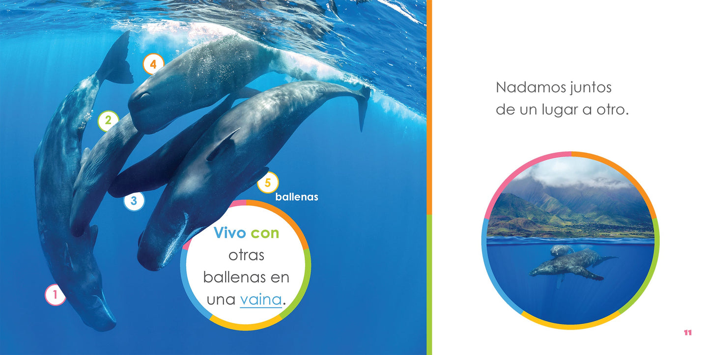 El principio de los: ballenas bebés by The Creative Company Shop